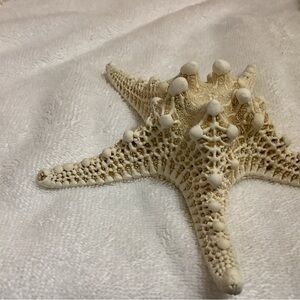 Star fish medium size vintage auth.
